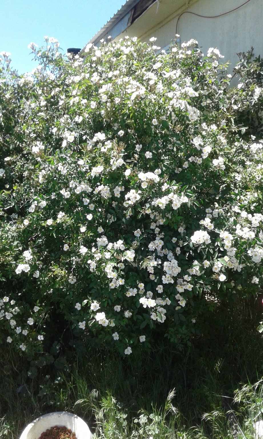 20170526_122151.jpg