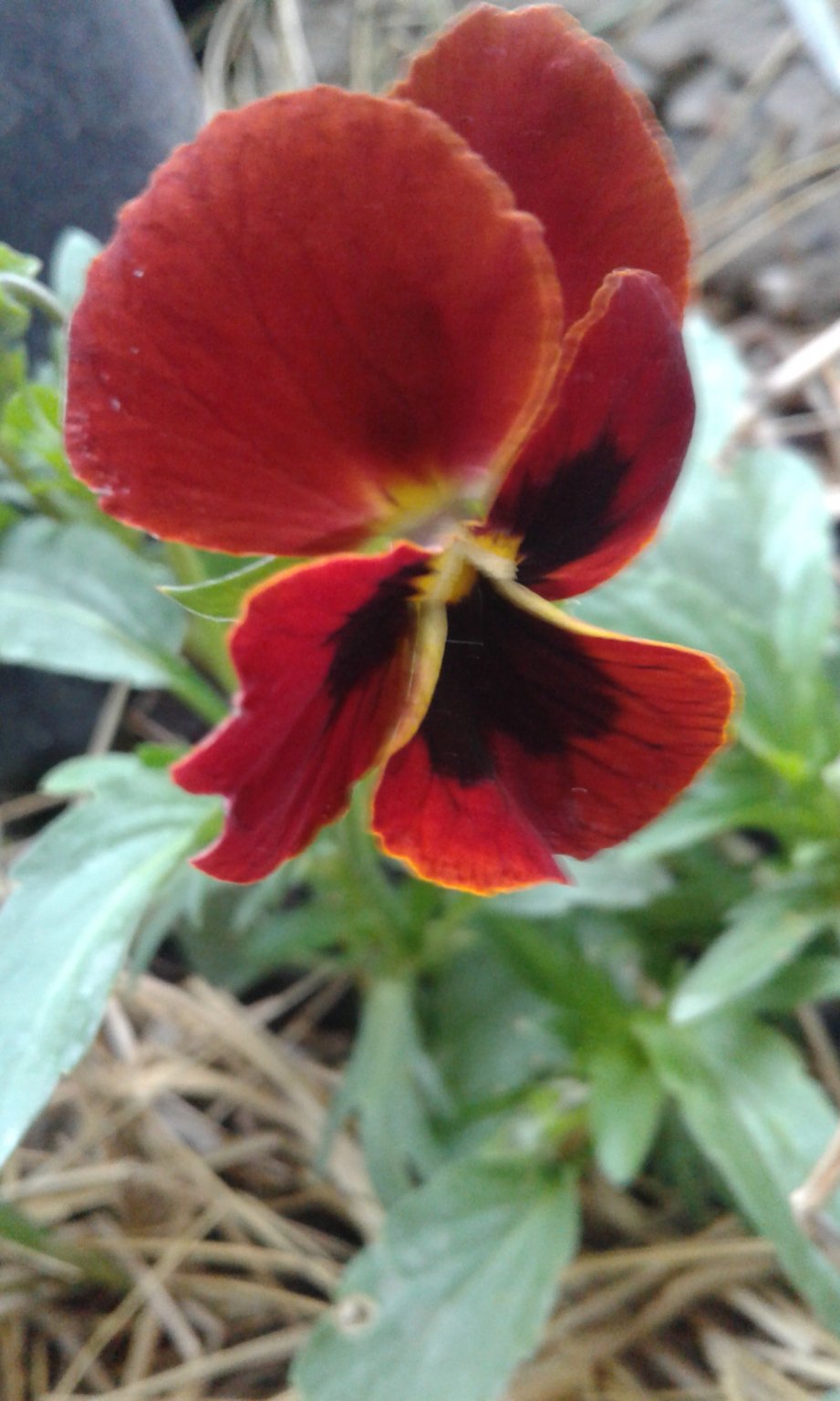 20170531_192341.jpg