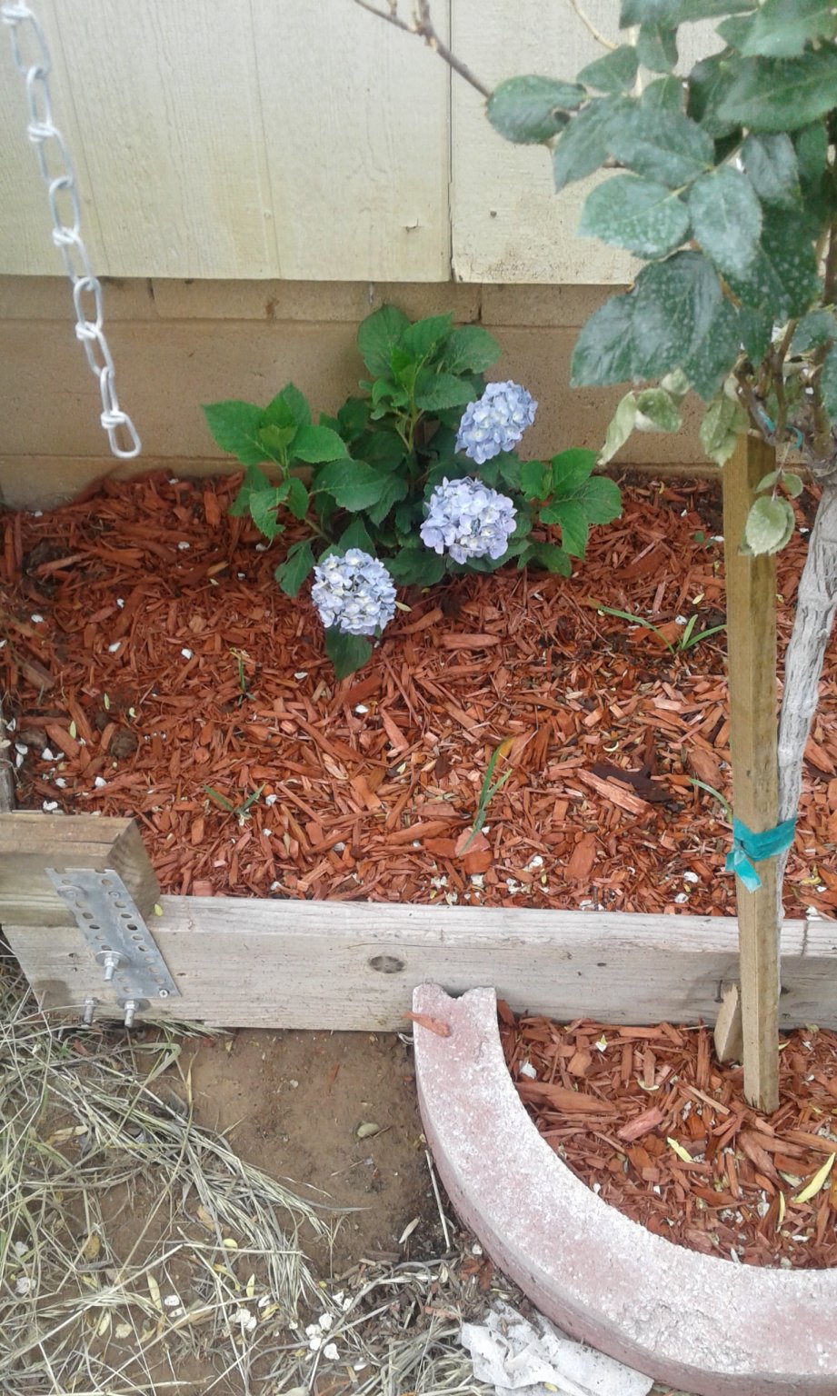 20170602_142429.jpg