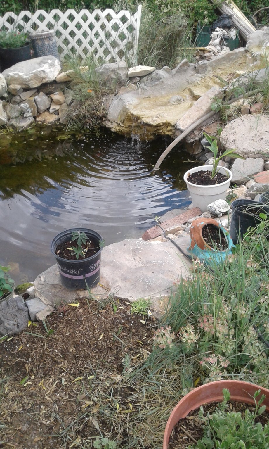 20170602_142626.jpg