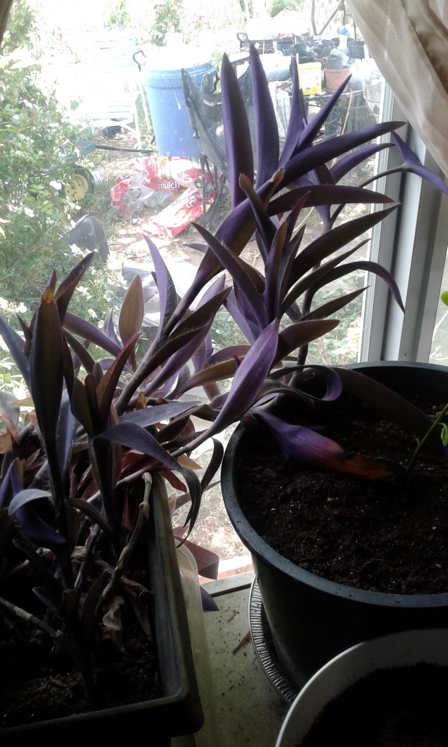 20170603_123030.jpg