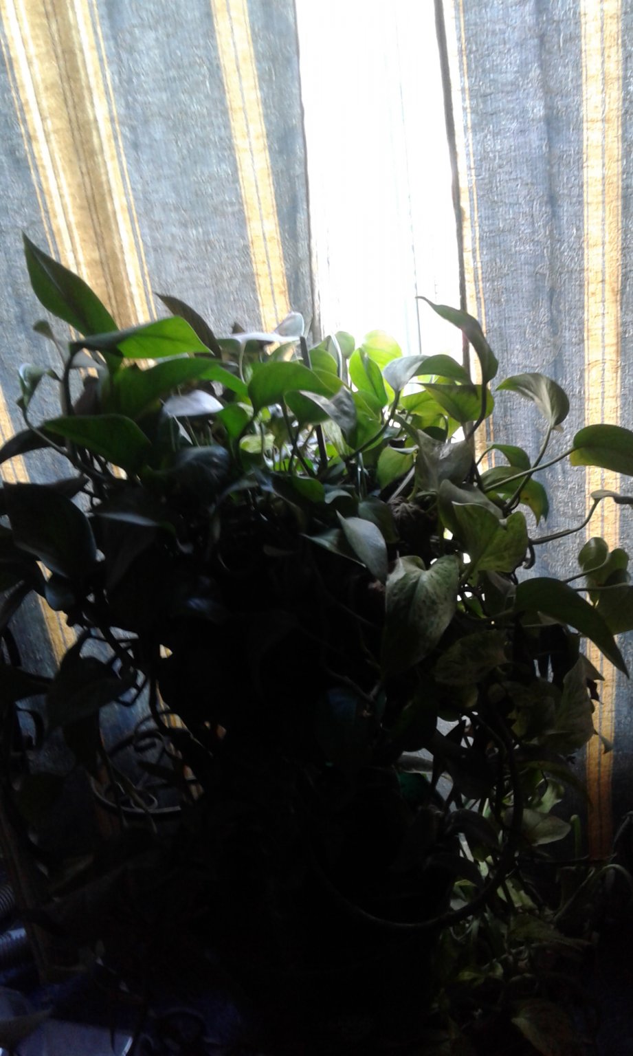 20170603_123057.jpg