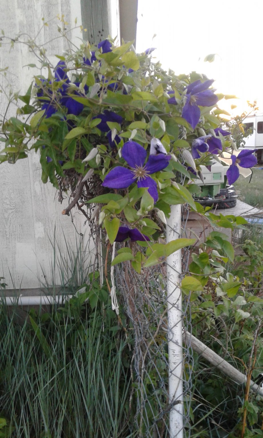 20170611_201507.jpg