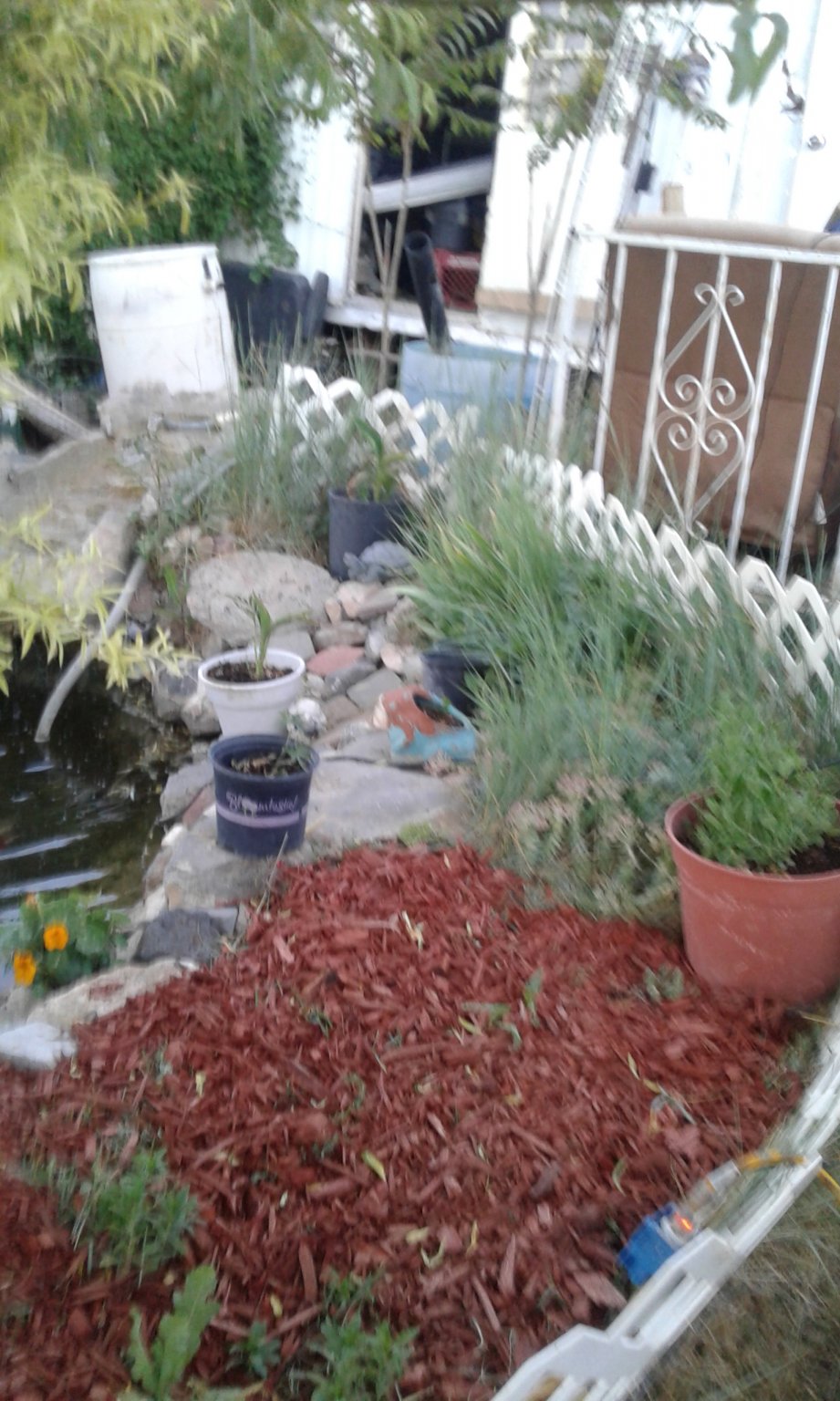 20170612_201358.jpg