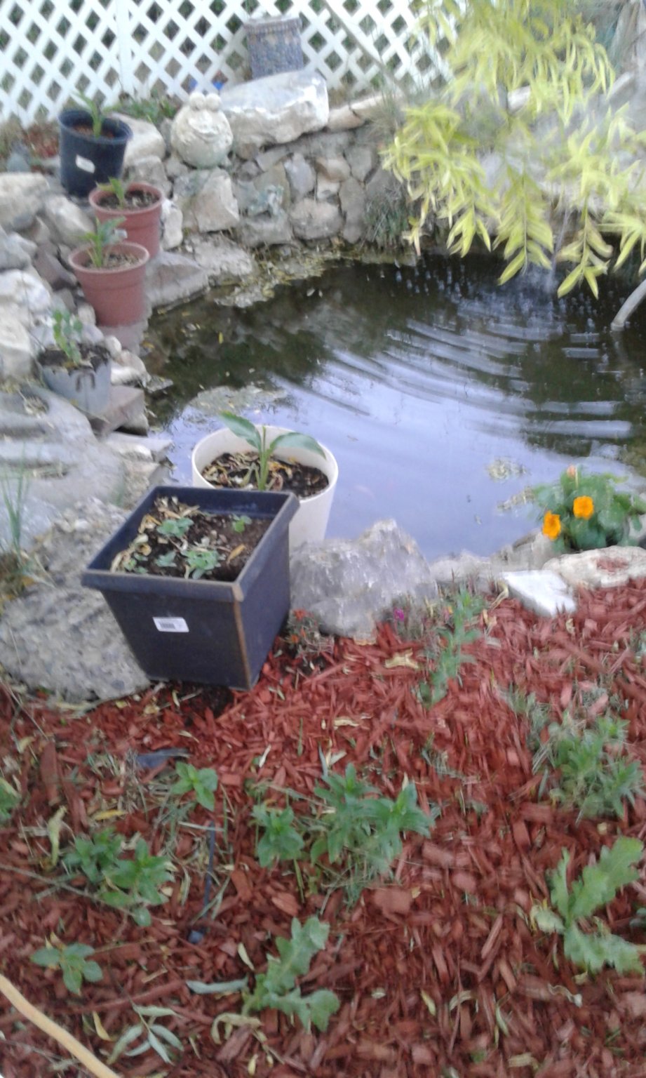 20170612_201418.jpg