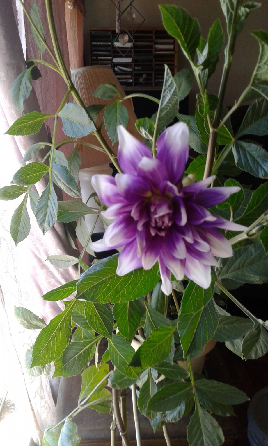 20170613_140020.jpg