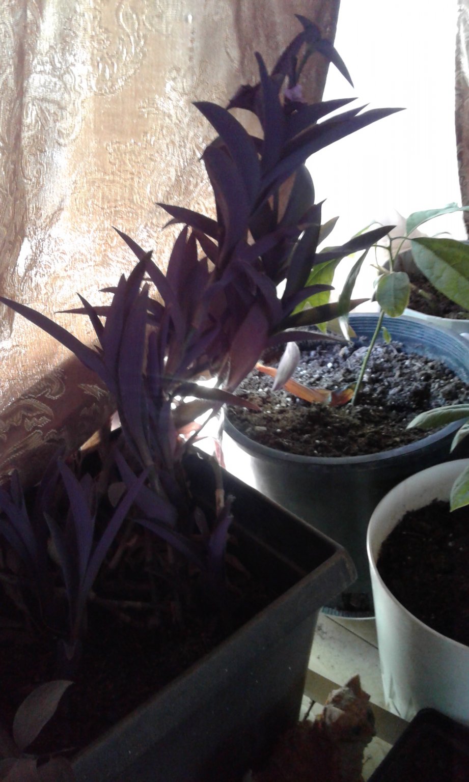 20170613_142530.jpg
