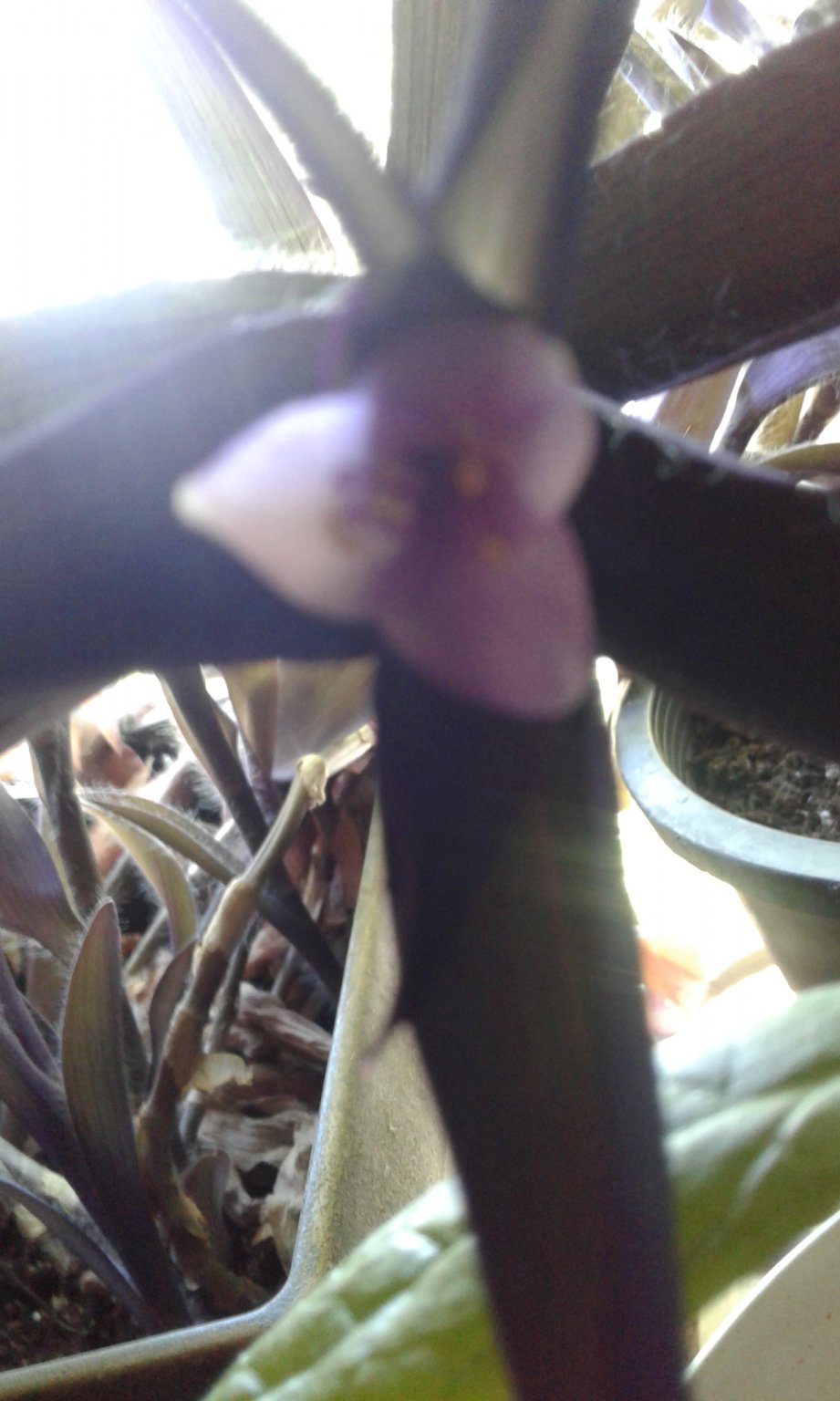 20170613_142621.jpg