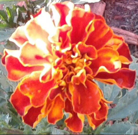 20170616_201019.jpg