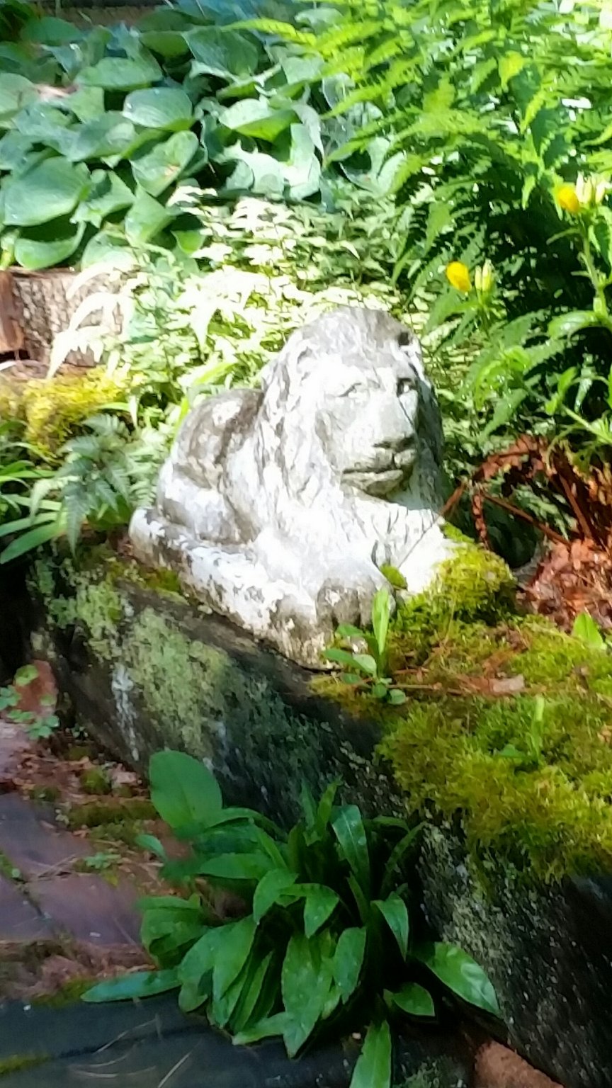 20170626_091006_resized-2.jpg