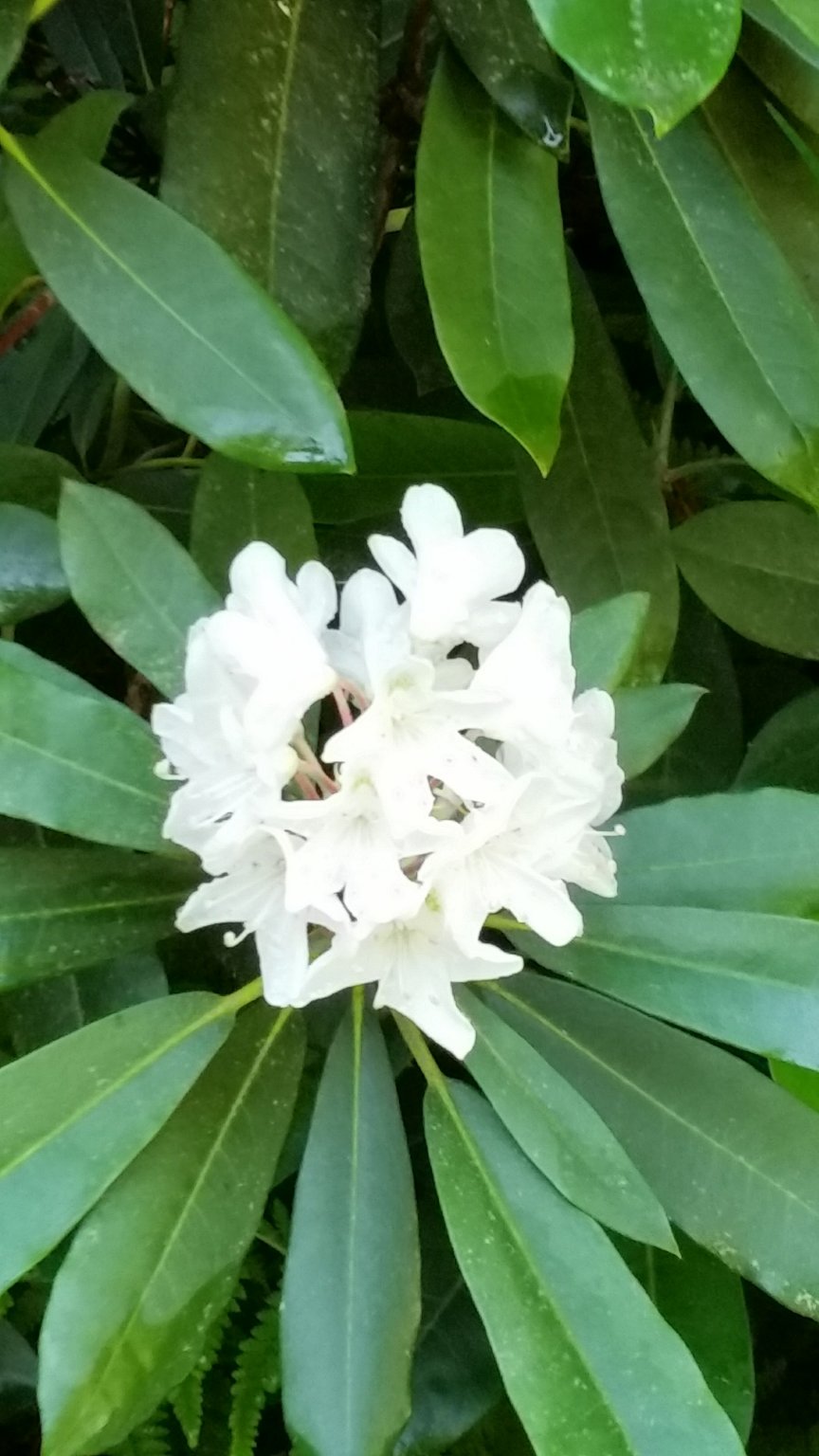 20170626_091021.jpg