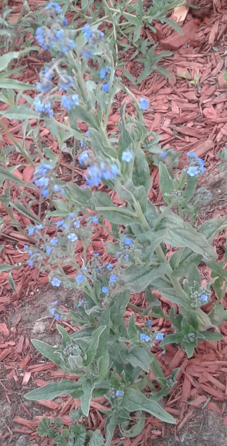 20170702_192144.jpg