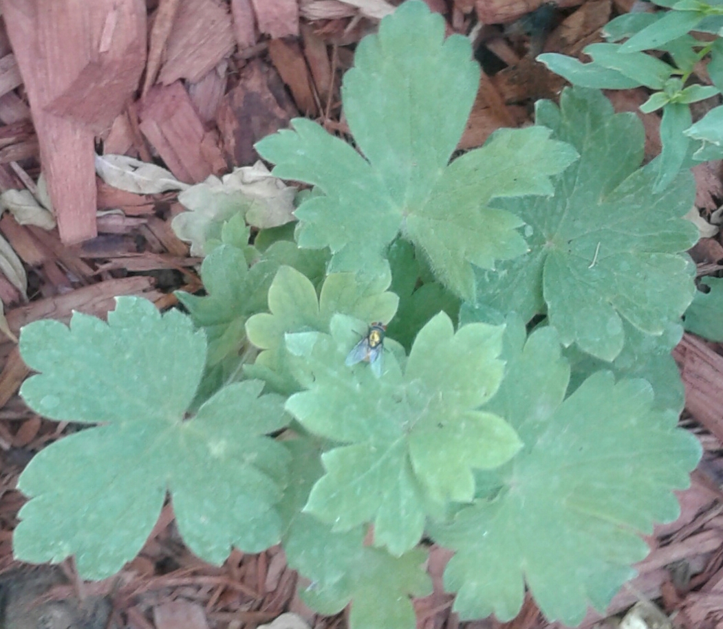 20170703_165226.jpg