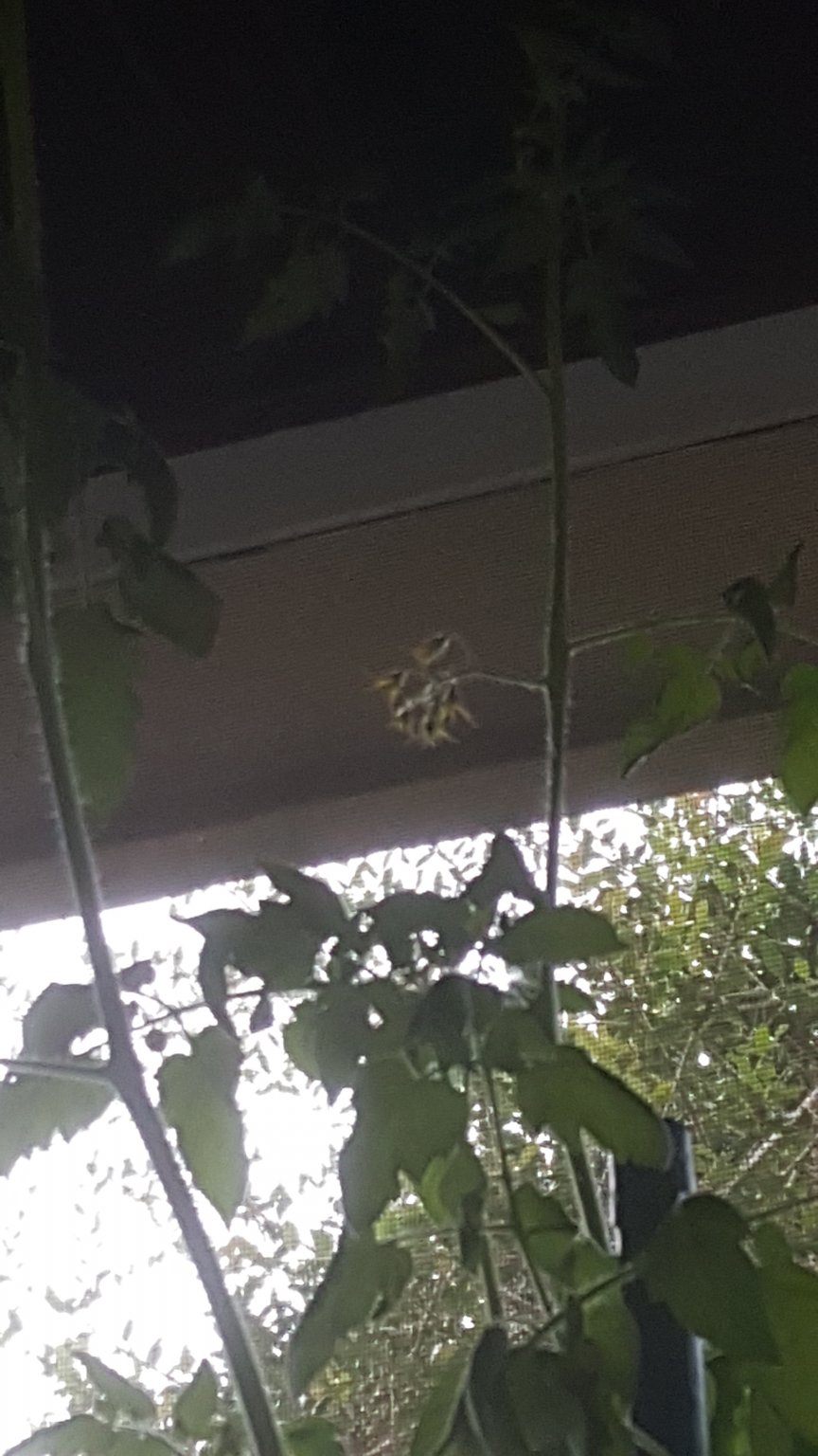 20170705_073854.jpg