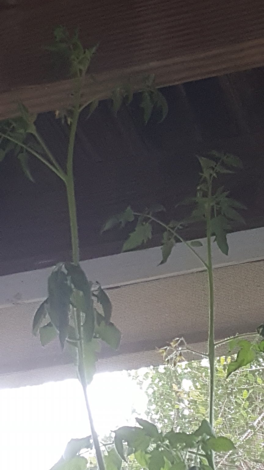 20170705_073918.jpg