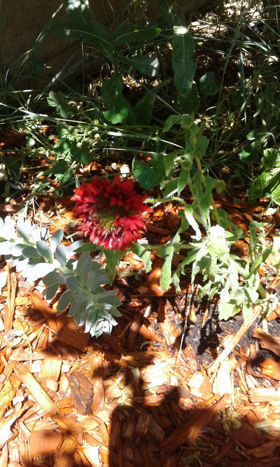 20170705_124146.jpg
