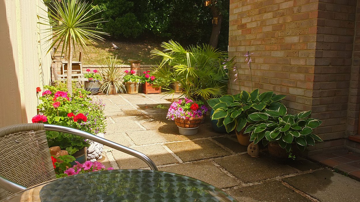 20170707 The patio looking good 1.JPG