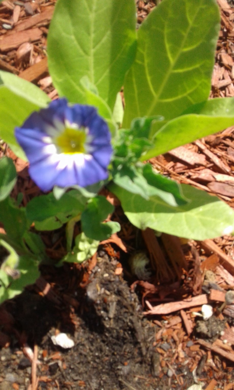 20170709_111442.jpg