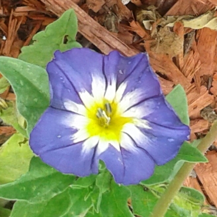 20170709_113917.jpg