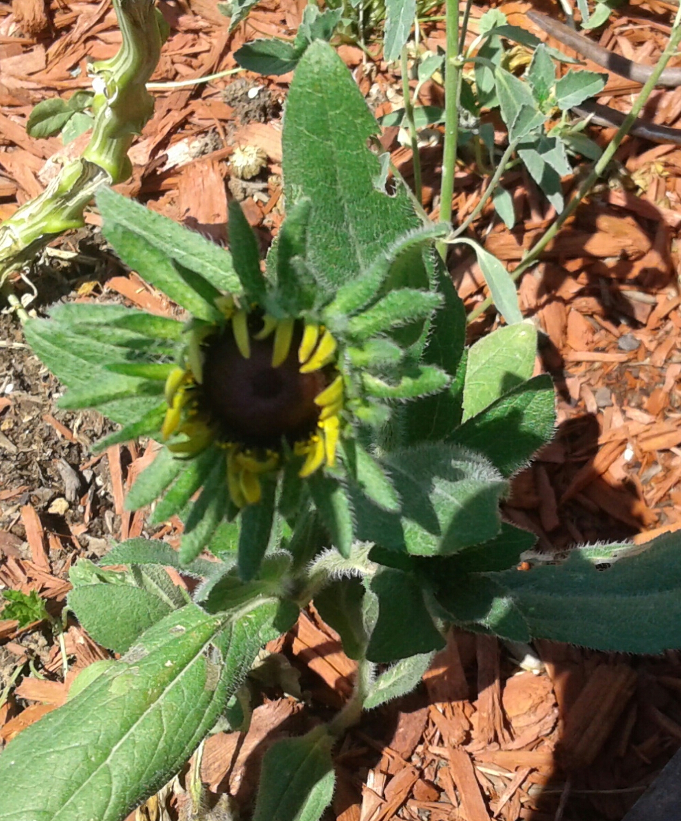 20170709_114141.jpg