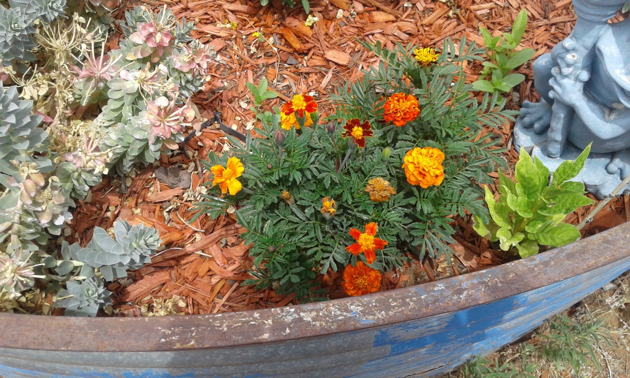 20170718_125432.jpg
