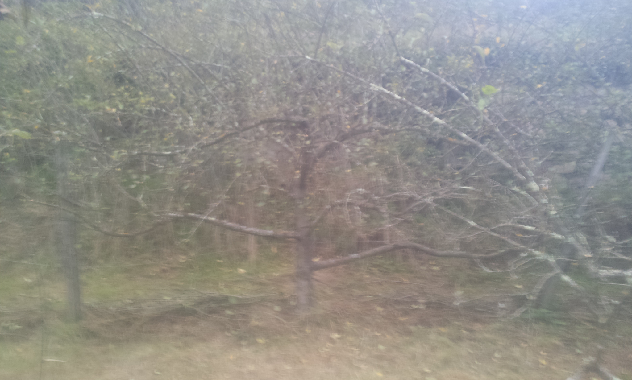 20171022_182511.jpg
