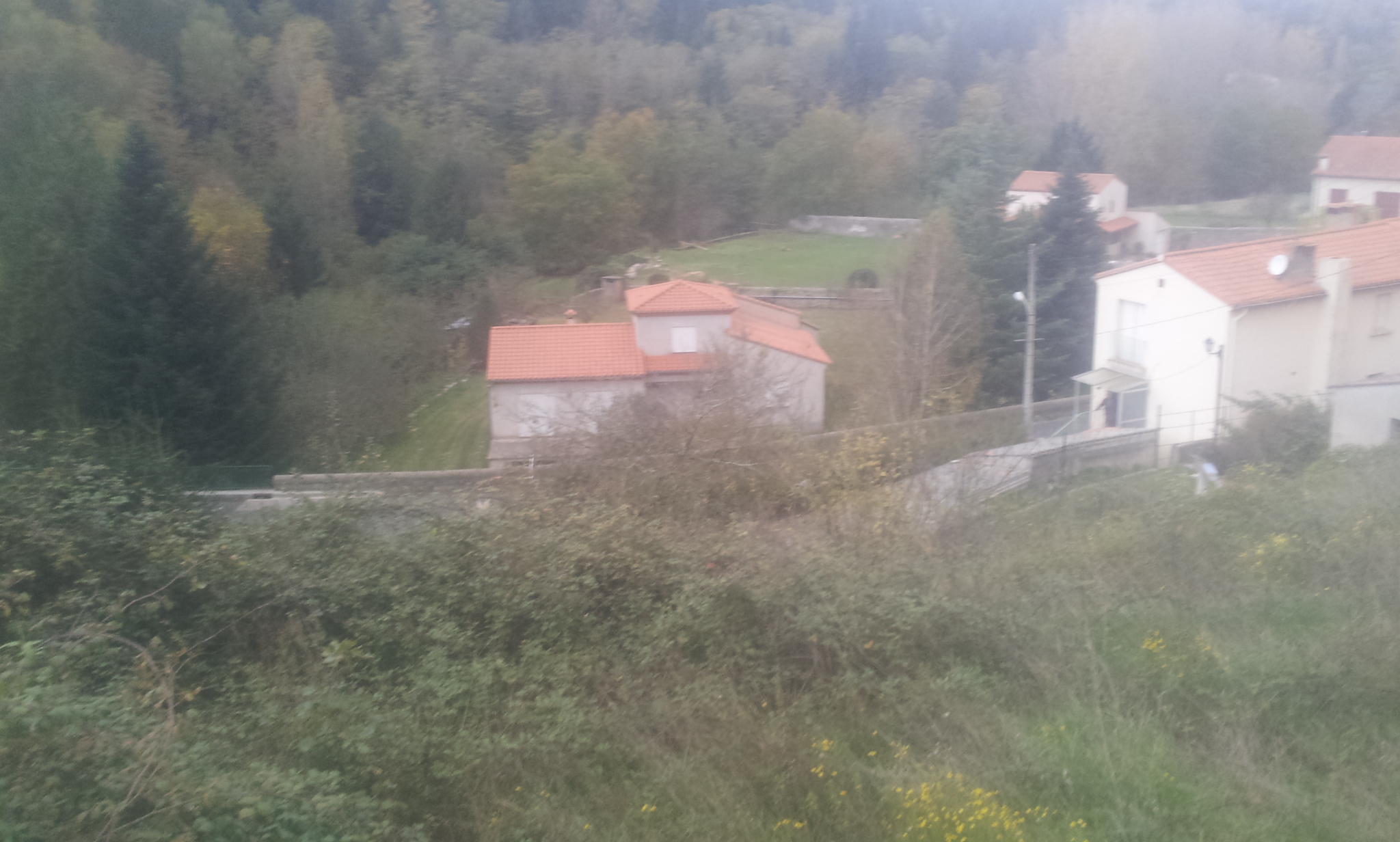 20171022_183054.jpg