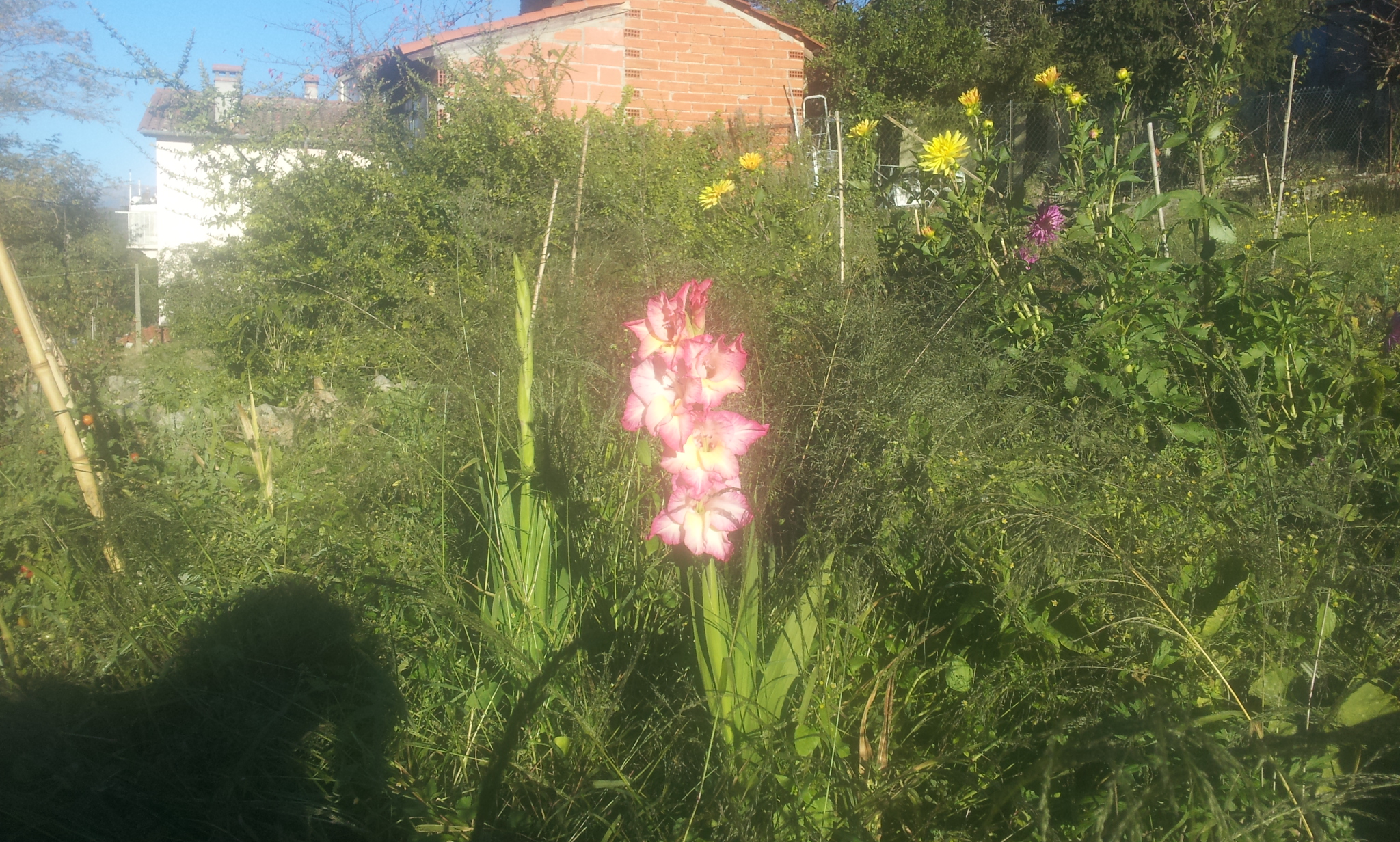 20171031_090011.jpg