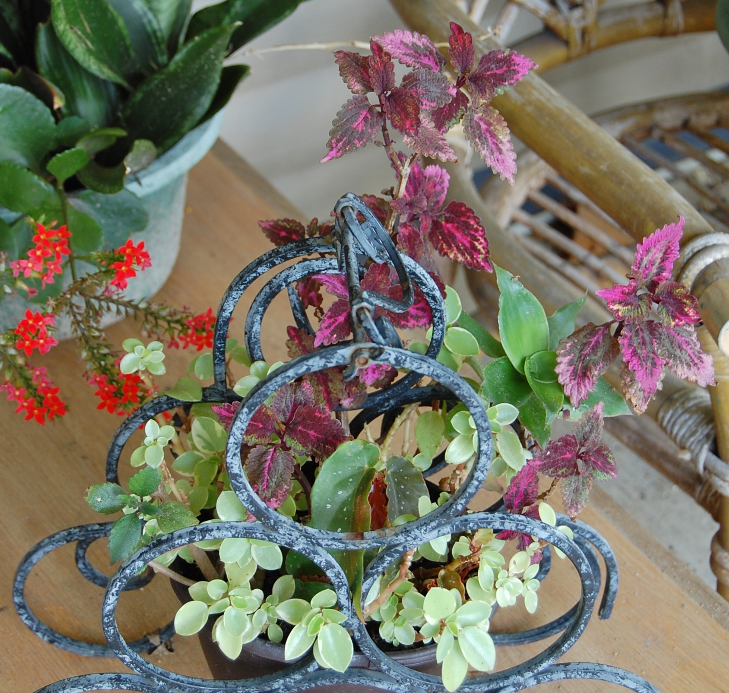 2018-05-04 005.JPG
