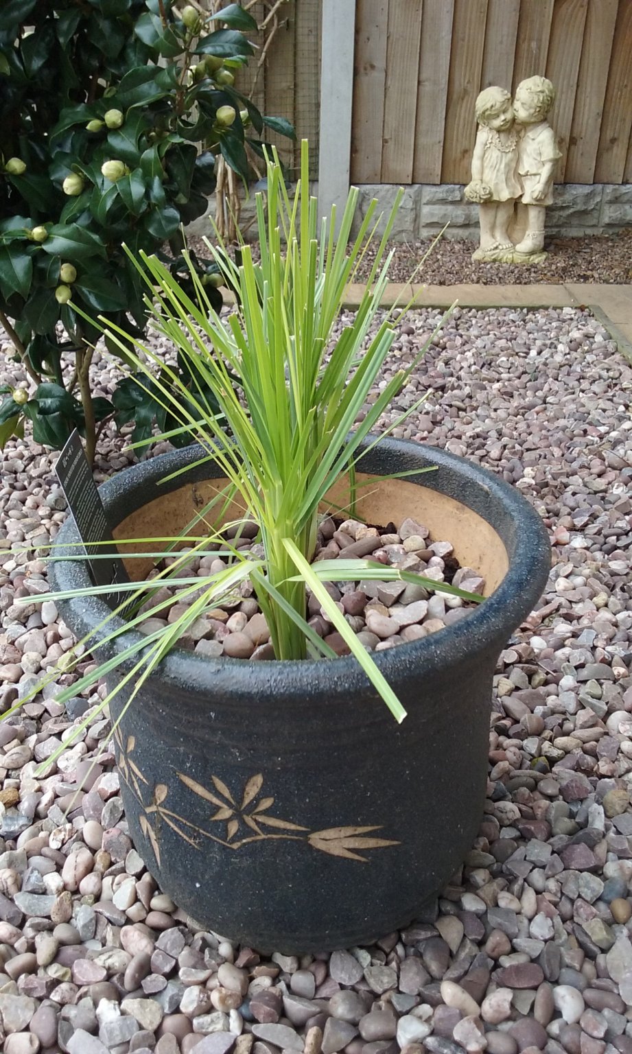 20180314_120242.jpg