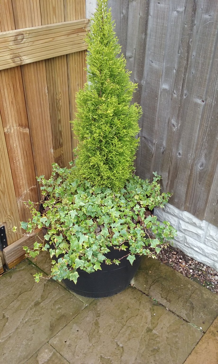 20180428_154348.jpg