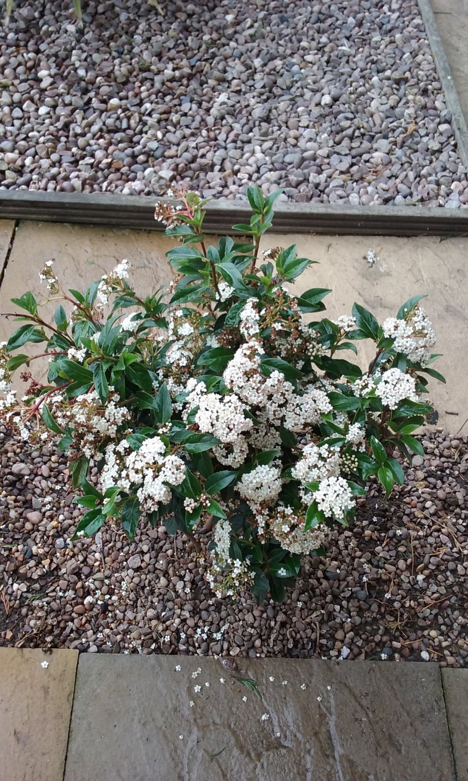 20180428_154410.jpg