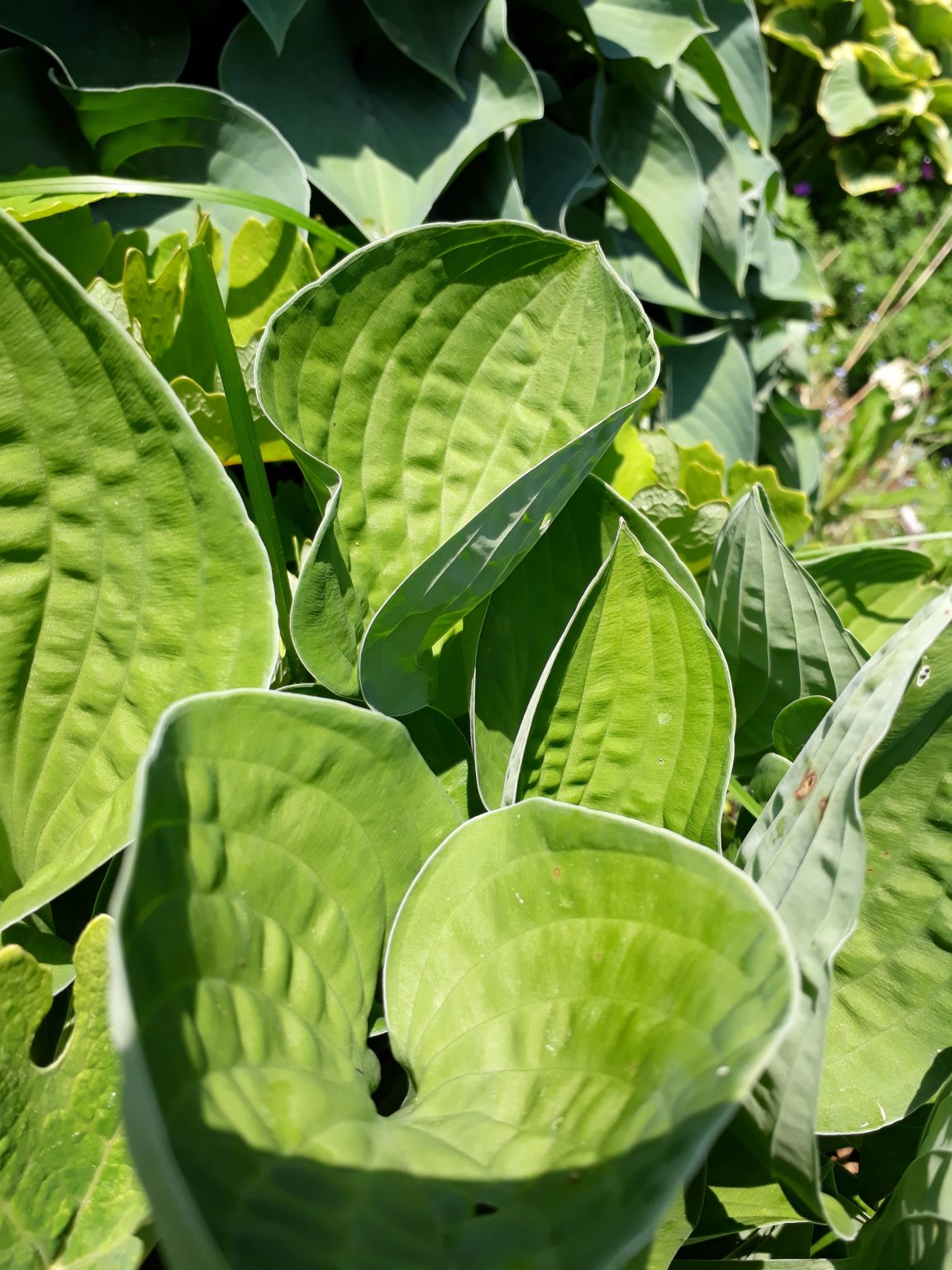 20180601_134026.jpg