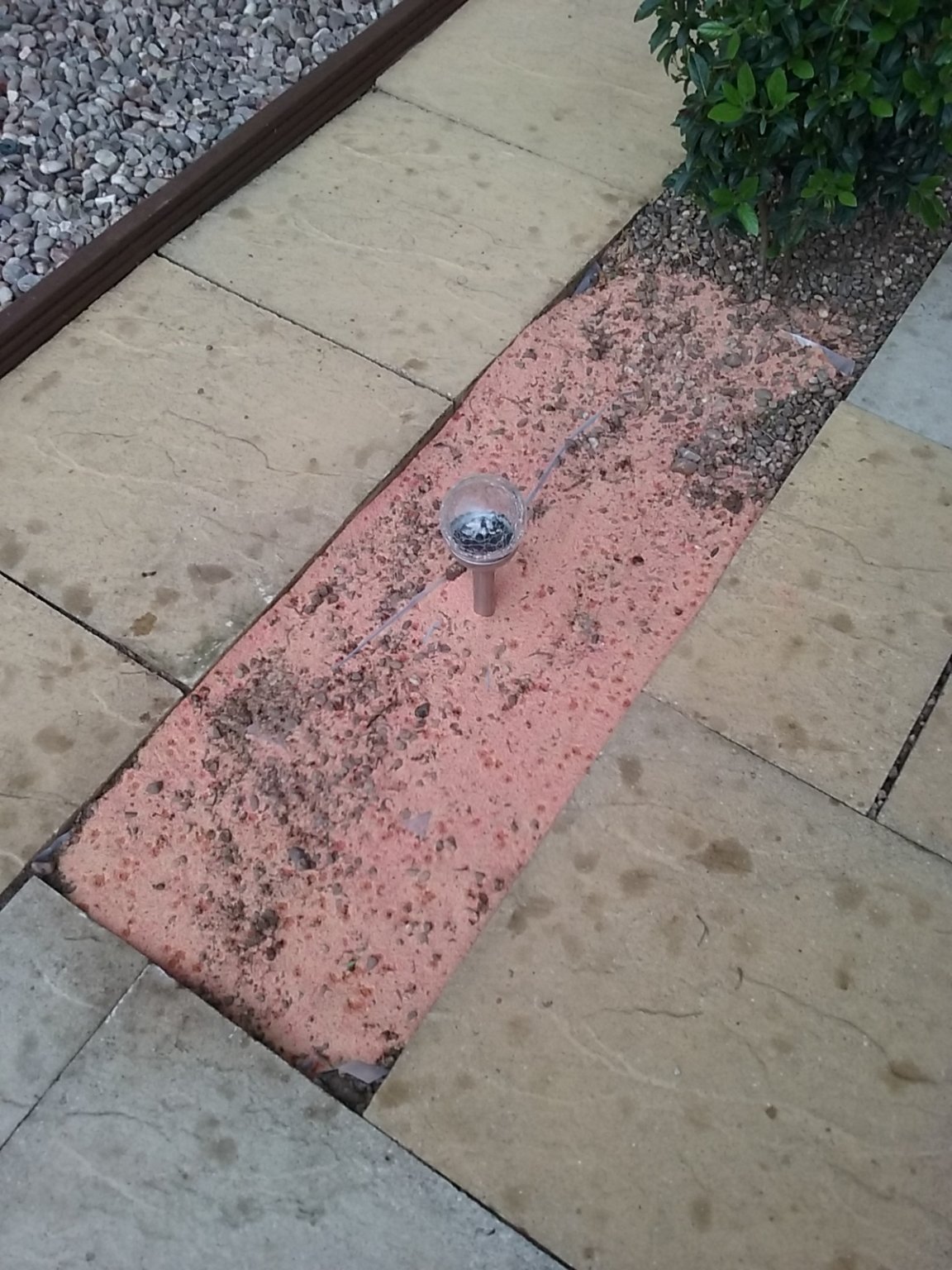 20180601_155025.jpg
