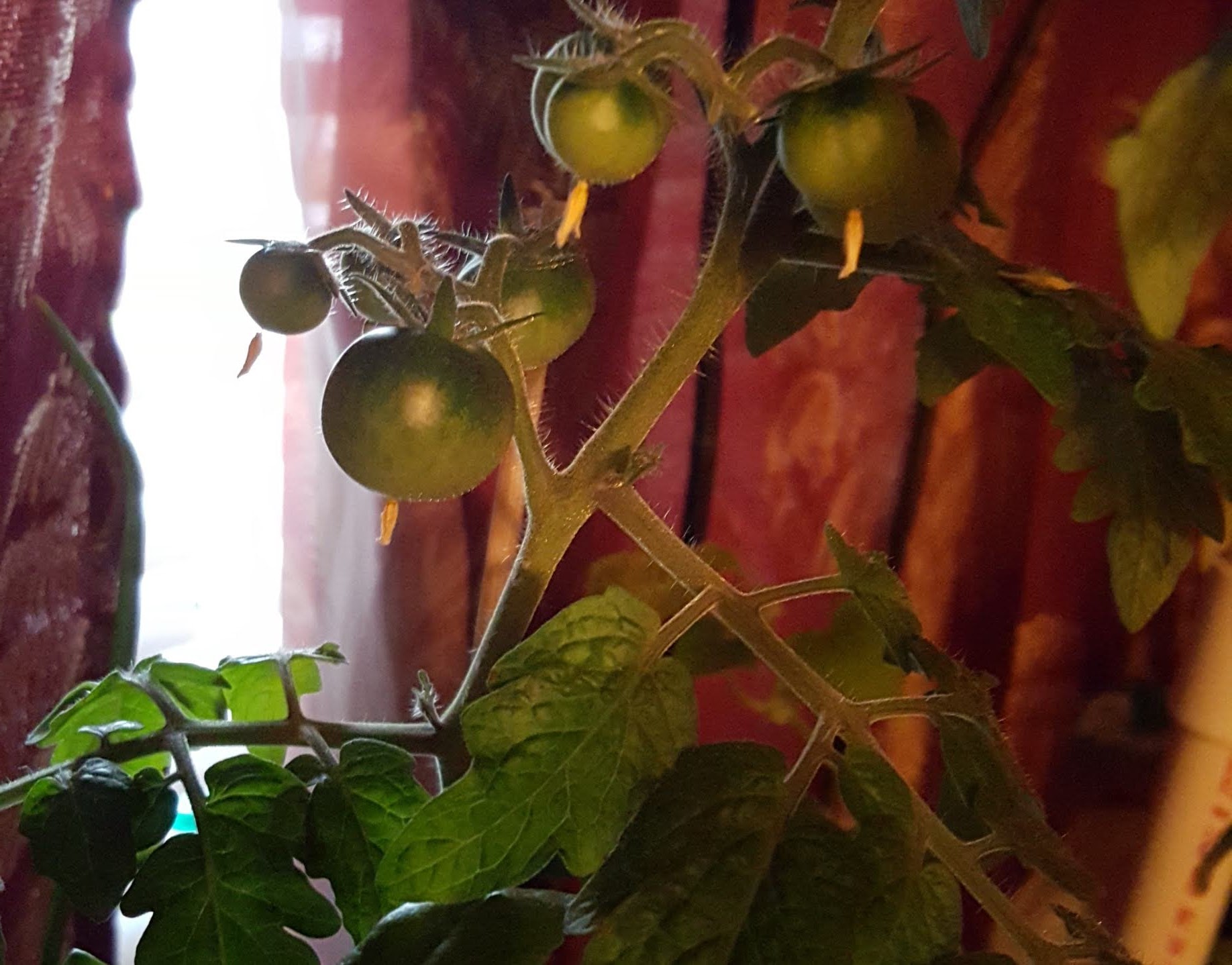 20180720_185353.jpg