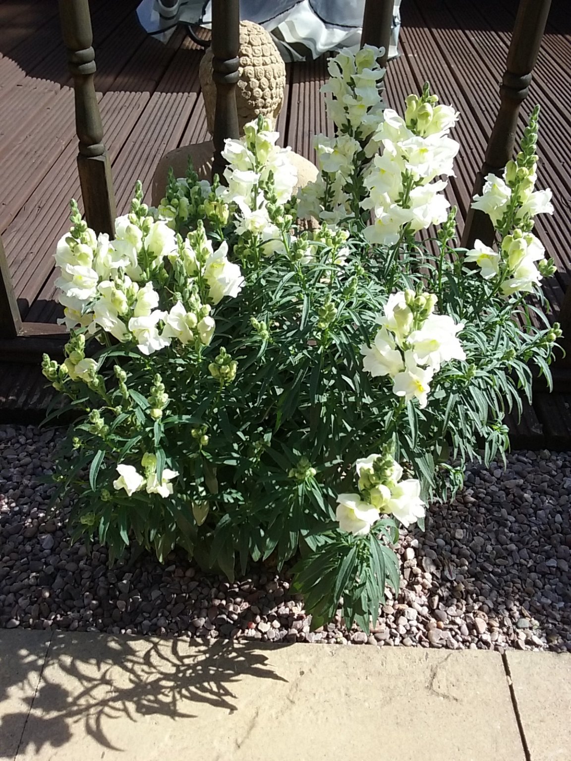 20180804_154455.jpg