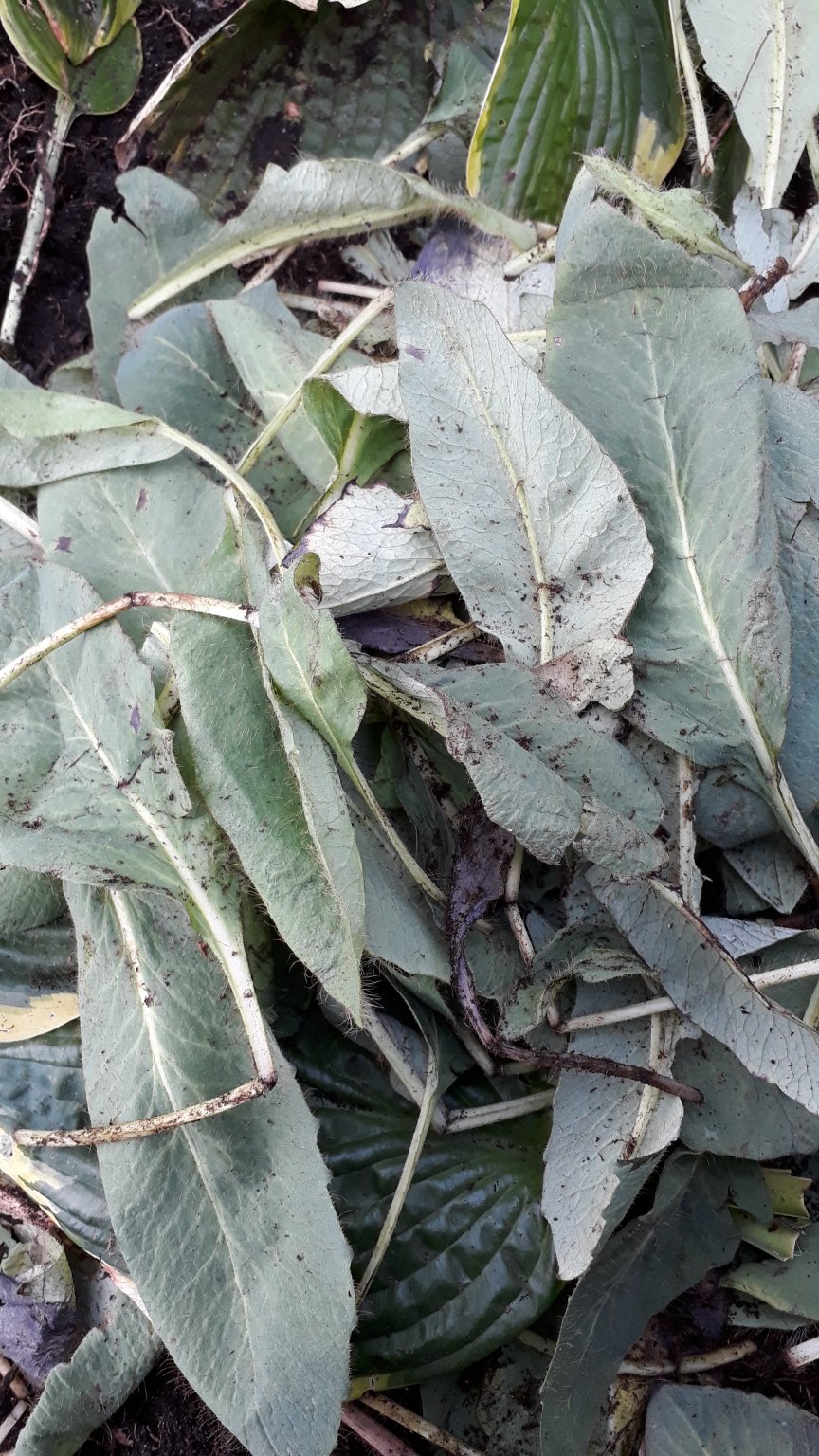 20180904_135358.jpg