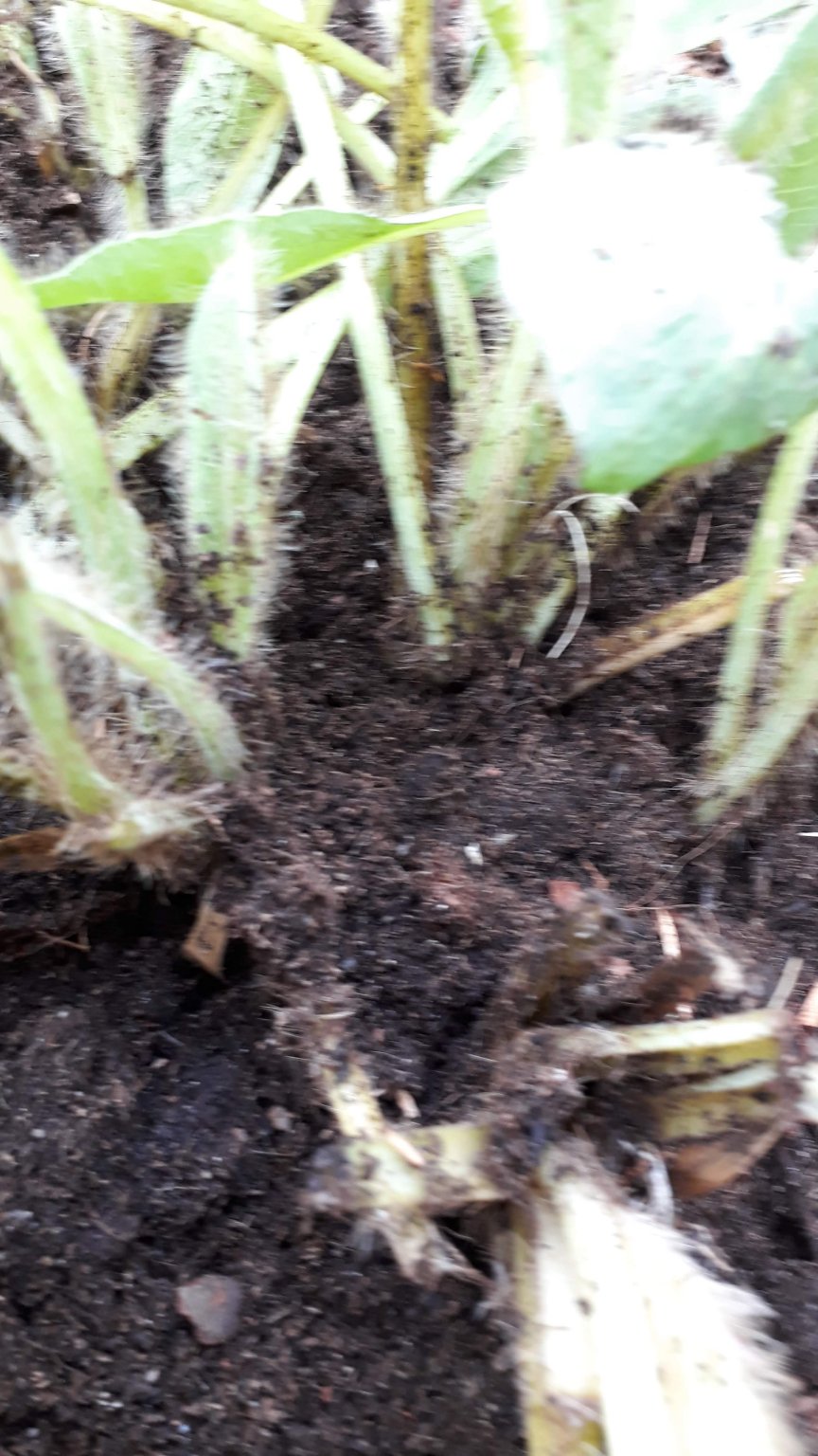 20180904_135448.jpg