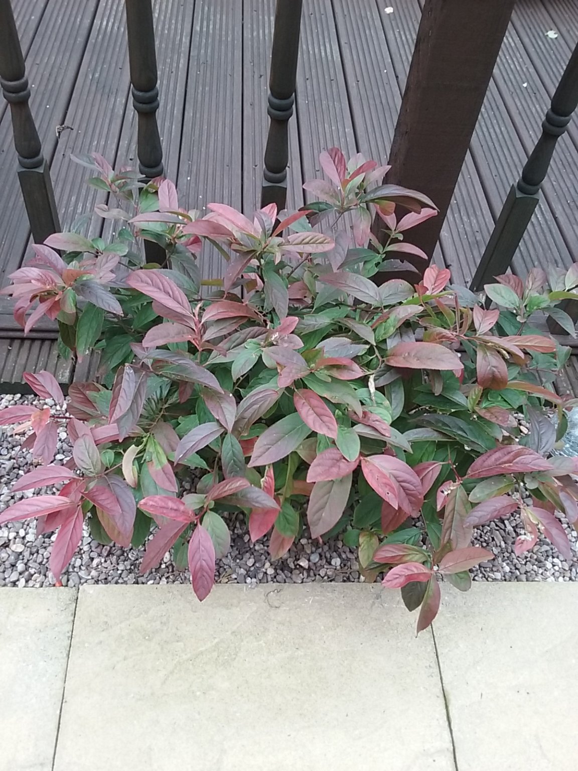 20180922_100101.jpg