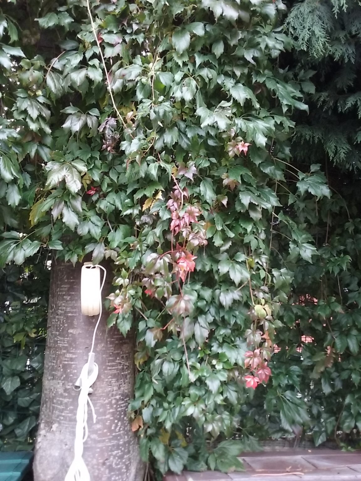 20180922_100142.jpg