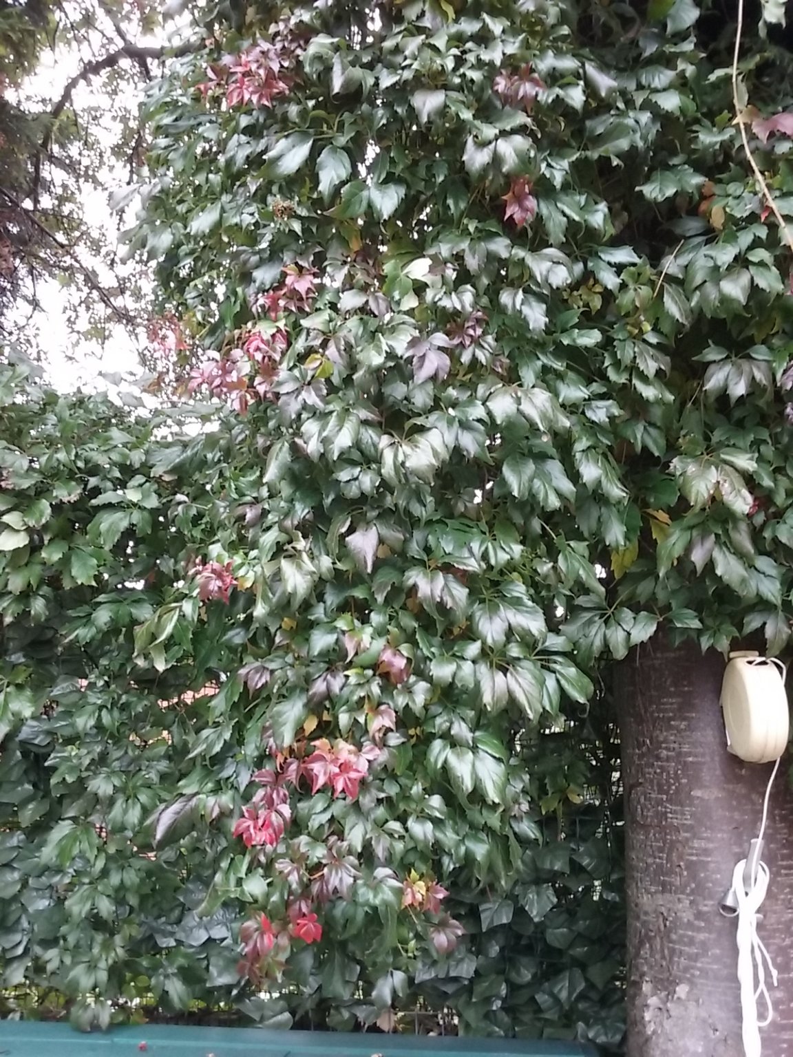 20180922_100148.jpg