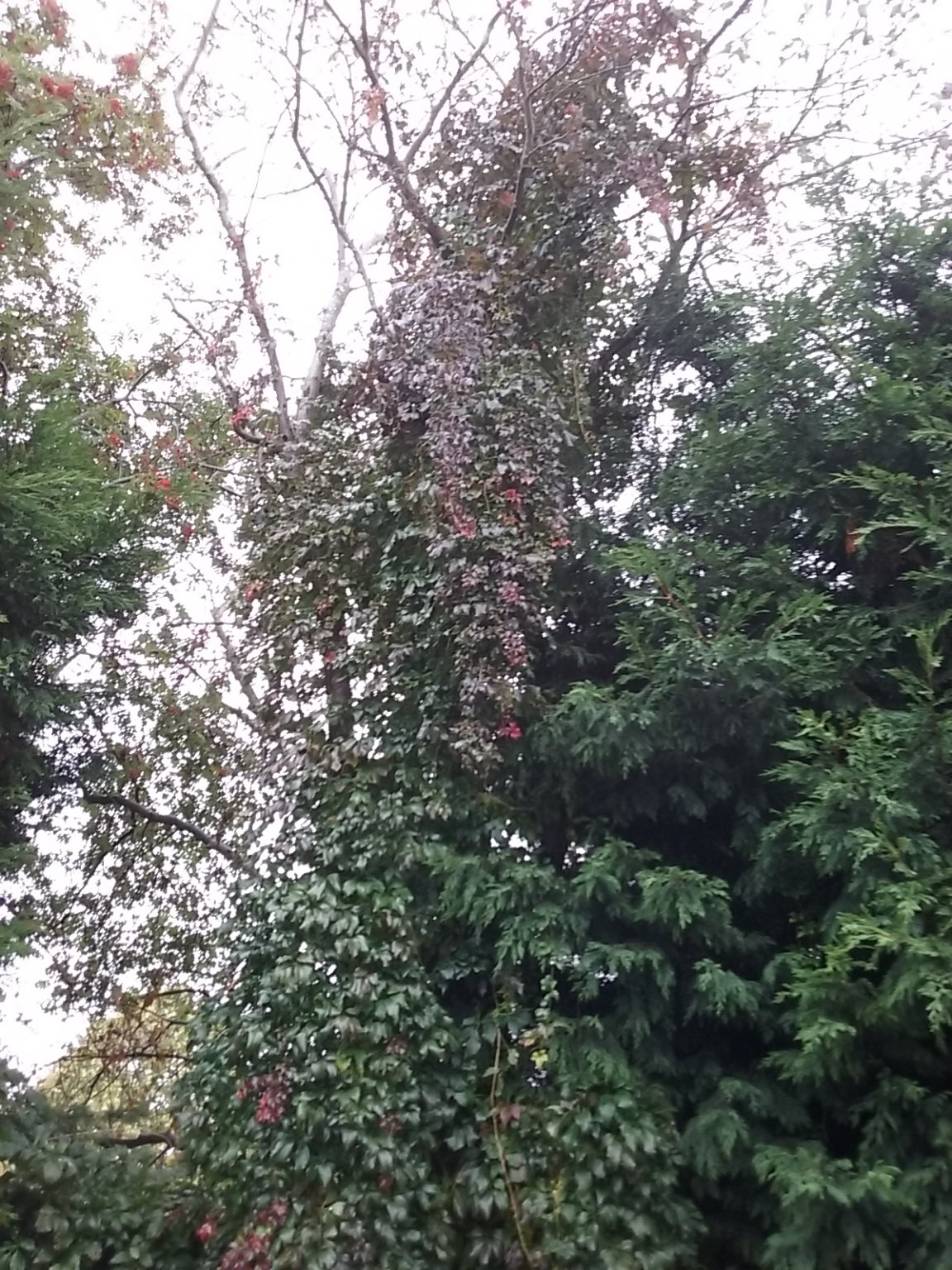 20180922_100205.jpg