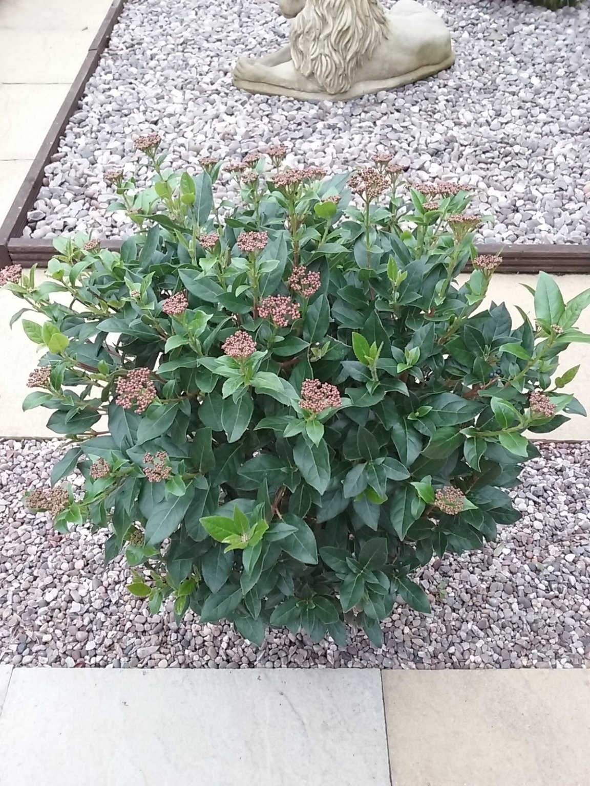 20180922_100231.jpg