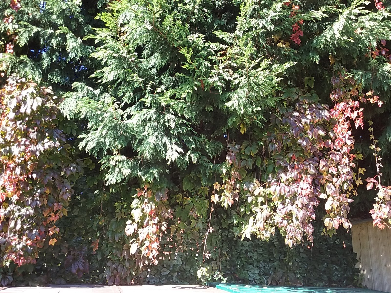 20180929_143046.jpg