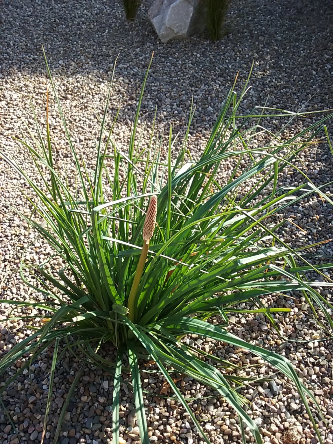 20180929_144003.jpg