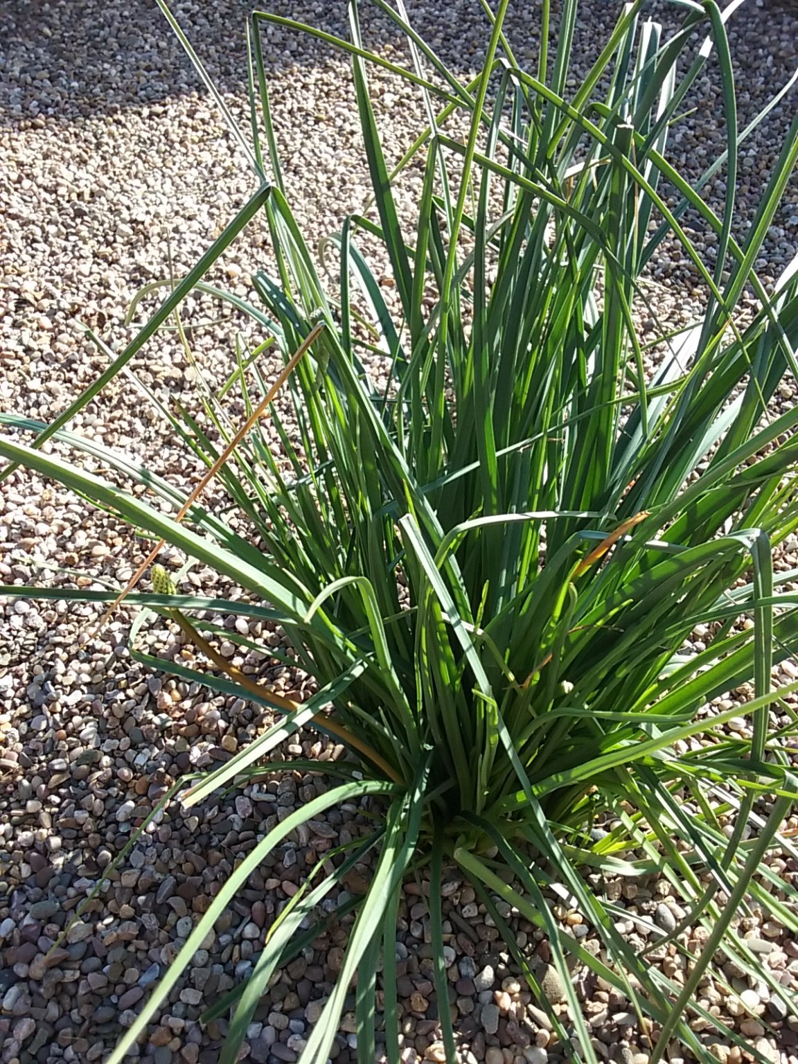 20180929_144021.jpg