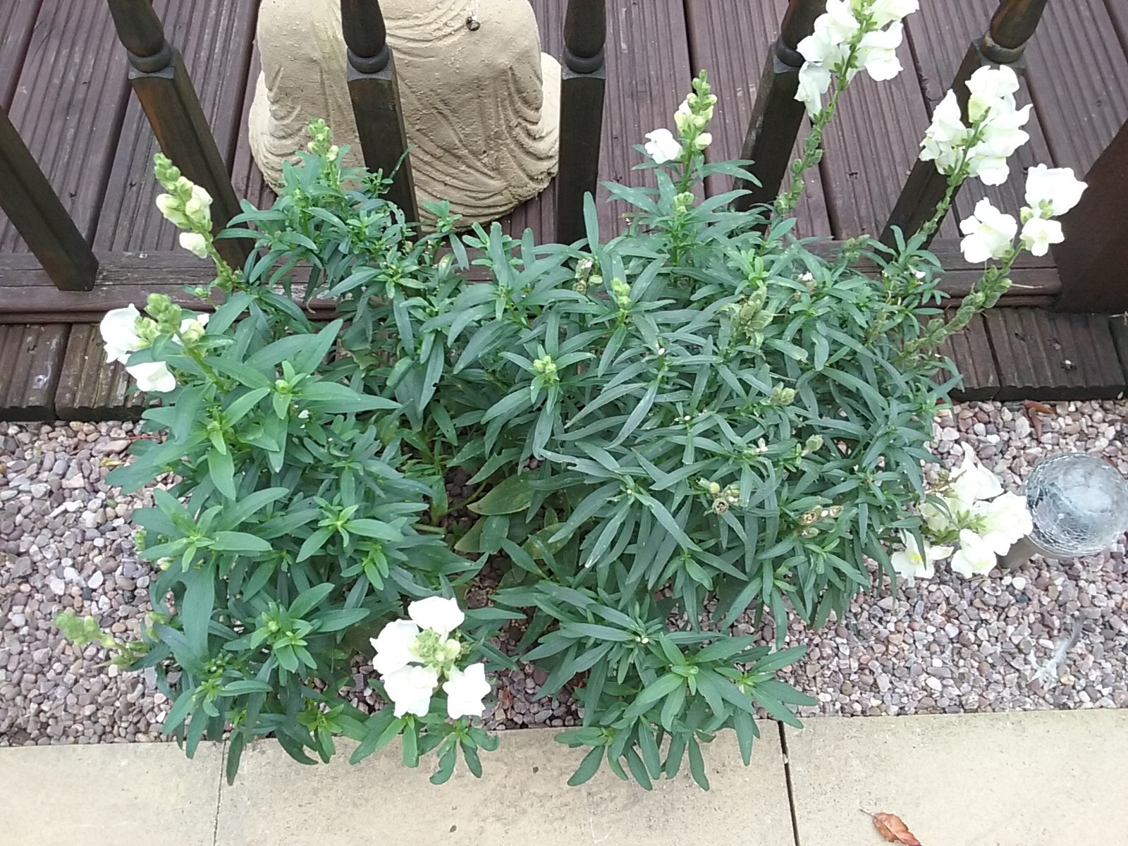 20180930_133633.jpg