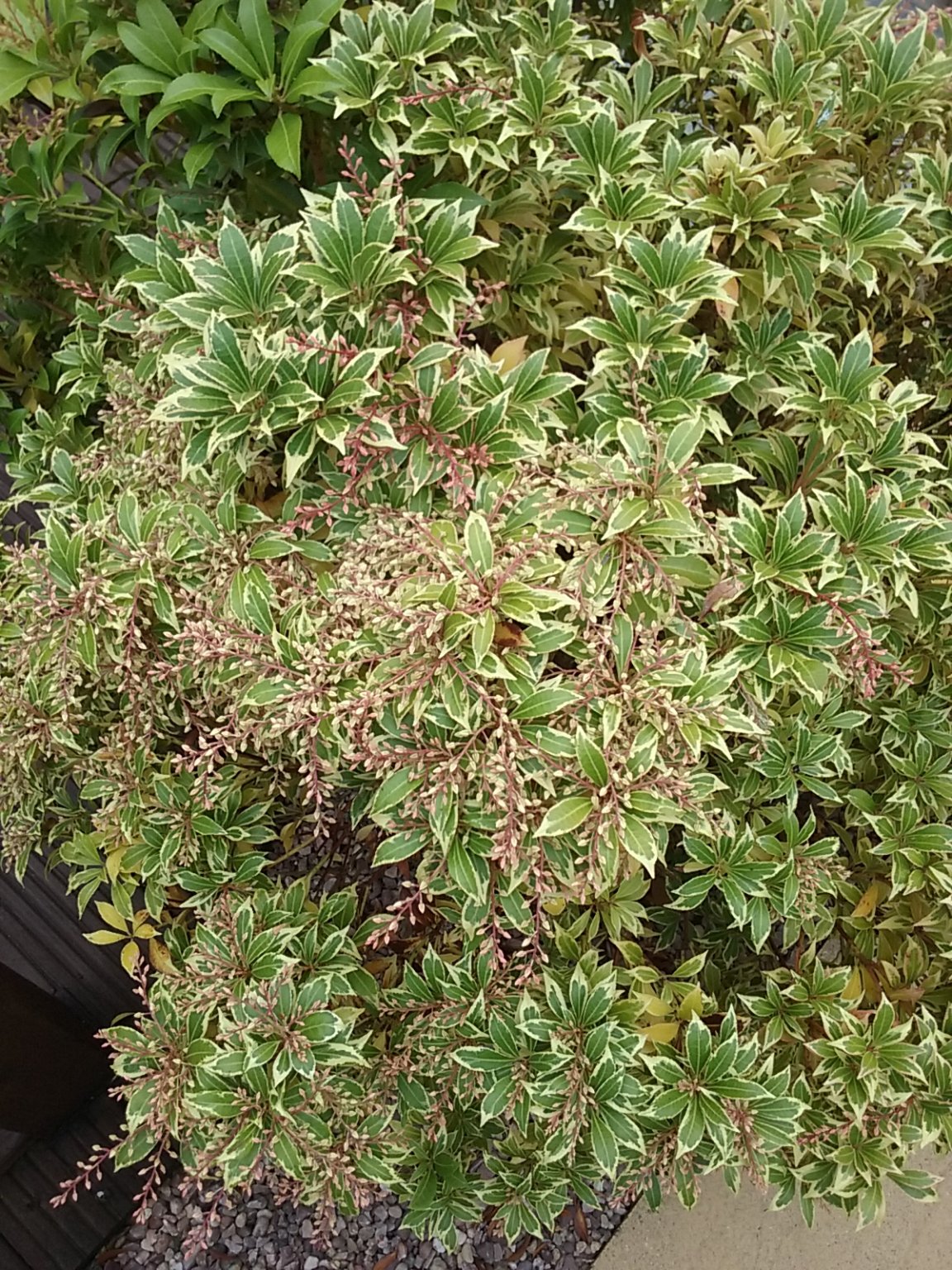 20180930_133643.jpg