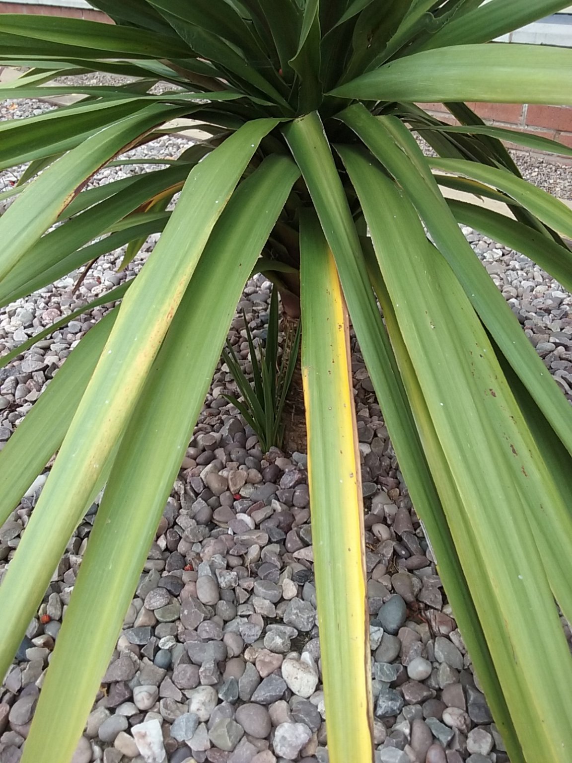 20180930_133845.jpg