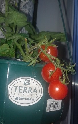 20181004_172817.jpg